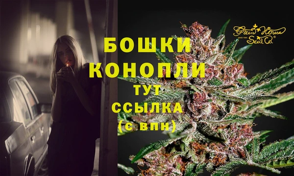 PSILOCYBIN Медногорск