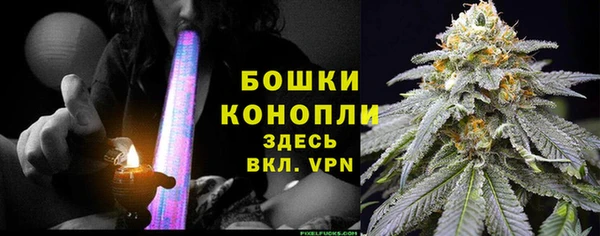 PSILOCYBIN Медногорск
