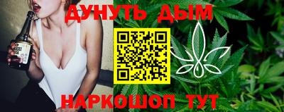 apvp Лесосибирск