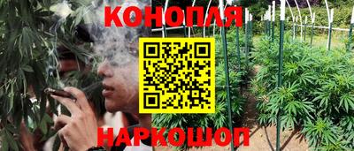 apvp Лесосибирск