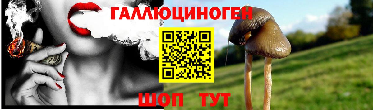 Галлюциногенные грибы Magic Shrooms Юрга